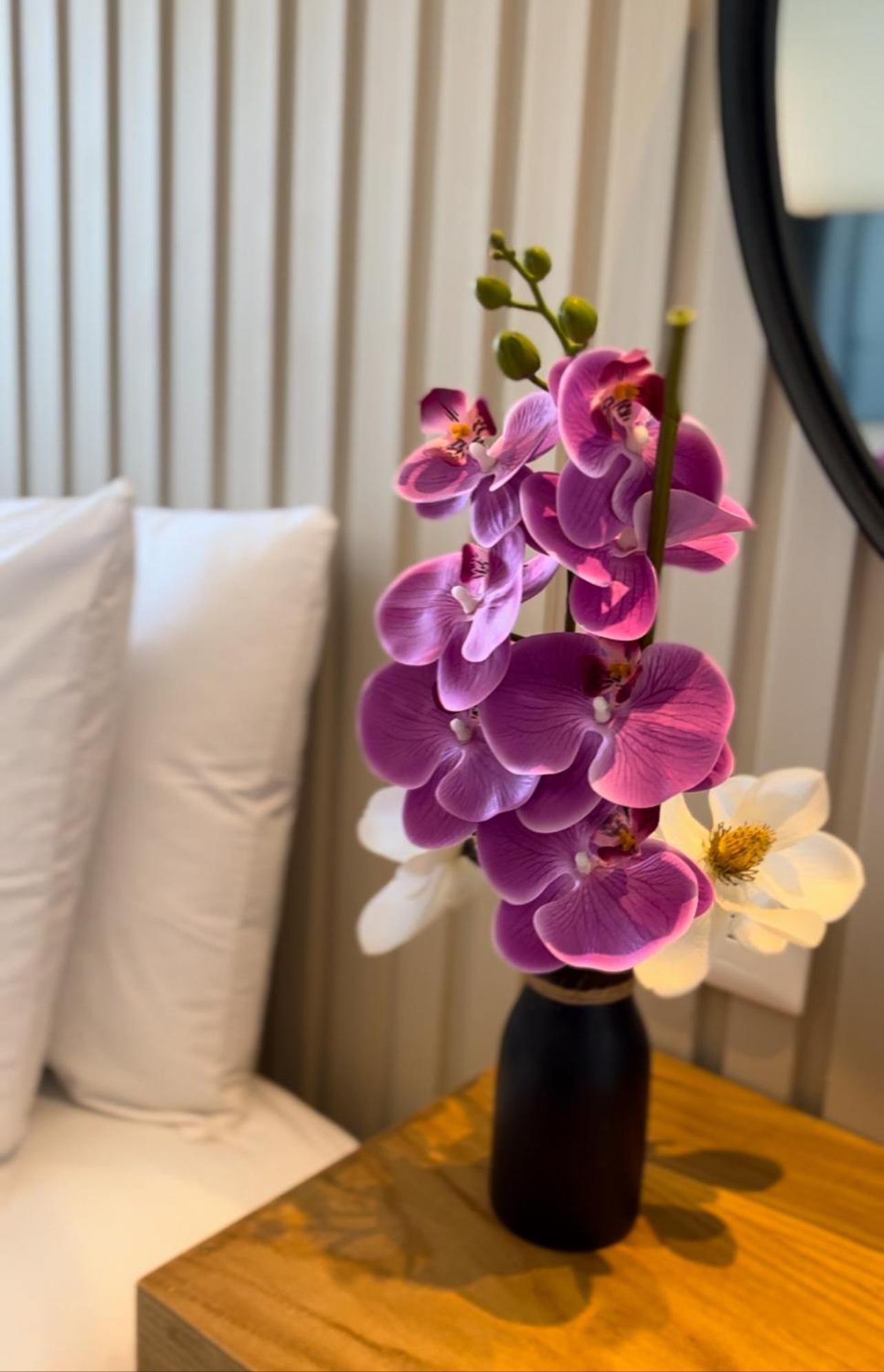 Coralia Boutique Hotel 科苏梅尔 外观 照片